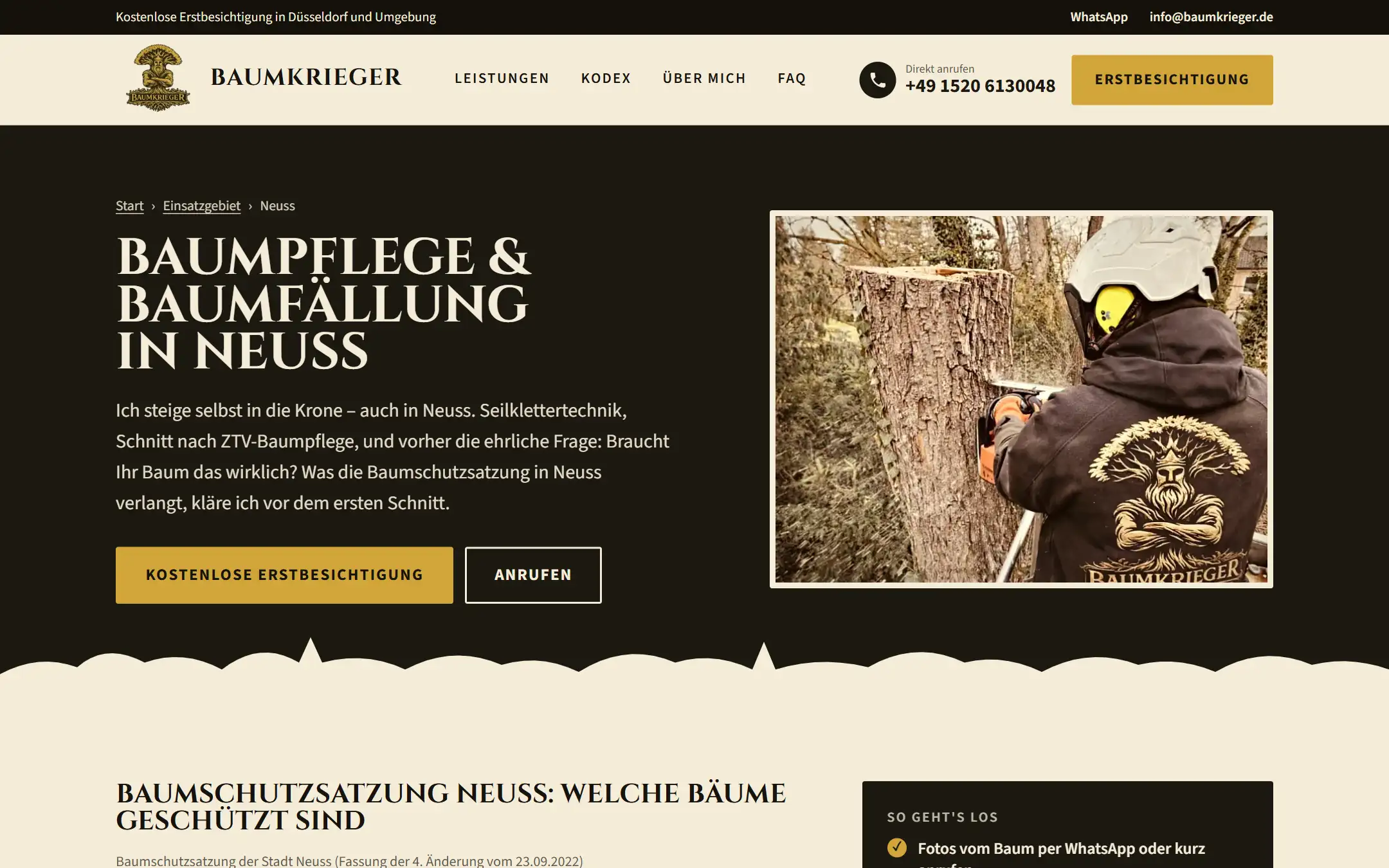 Ortsseite Baumpflege in Neuss auf baumkrieger.de mit Hinweisen zur Baumschutzsatzung